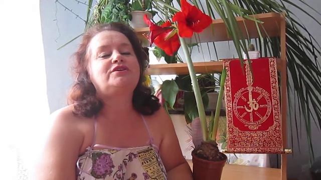 Душевные стихи про жизнь Людмилы Романовой. смотреть онлайн