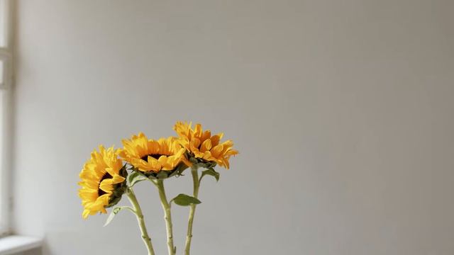 УЛЬТРА РАССЛАБЛЯЮЩАЯ МУЗЫКА для исцеления тела, разума и души 🌵 Музыка для сна, души и тела смотреть онлайн