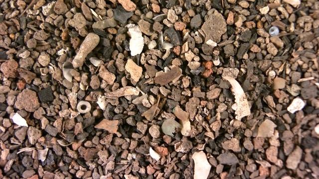 Picking Jamestown's past: Recovering the smallest artifacts смотреть онлайн