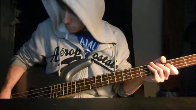Nine Inch Nails - The Hand that Feeds (Bass Cover) смотреть онлайн
