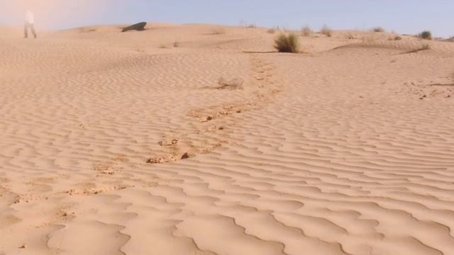 Измена жены.Мой муж,лопух.Интересные истории из жизни. Истории любви и измен.Истории на ночь