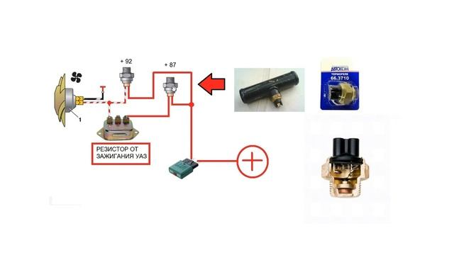 Теплые гости