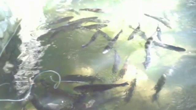 Мои фото с моря☺😊😂😤😱😨 смотреть онлайн