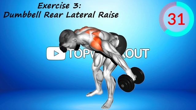 Build Big Back Exercises