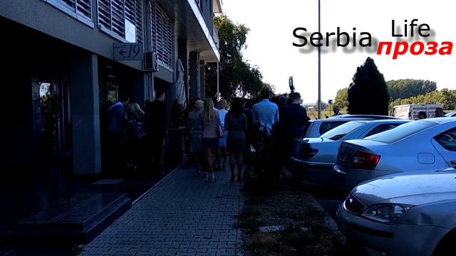 SERBIALIFE ПРОЗА || СЕРБСКИЕ ГУЛЯНИЯ смотреть онлайн