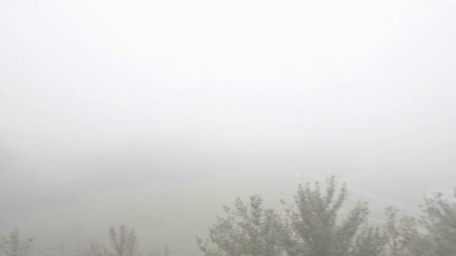 Simulate The Dead - Project December