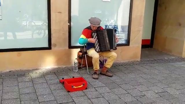 Busking in Germany on accordion смотреть онлайн