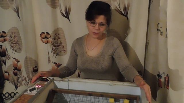 Инкубатор "блиц норма" женский взгляд смотреть онлайн