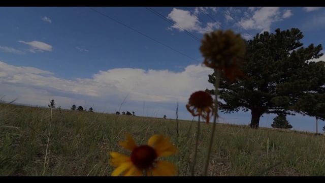 What Is Pareidolia? Part 3: Pareidolia's In Action смотреть онлайн