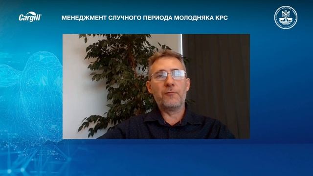 Менеджмент случного периода молодняка КРС смотреть онлайн
