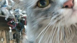 ремонт кнопки стиральной машины zanussi