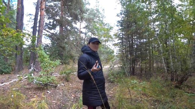 Благороднее грибов нет! Шикарный сбор. смотреть онлайн