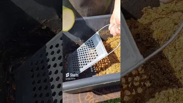 КАБАЧКИ ДЛЯ КУР НЕСУШЕК! смотреть онлайн