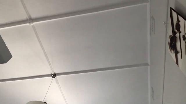 Green bird solve the Rubiks cube смотреть онлайн