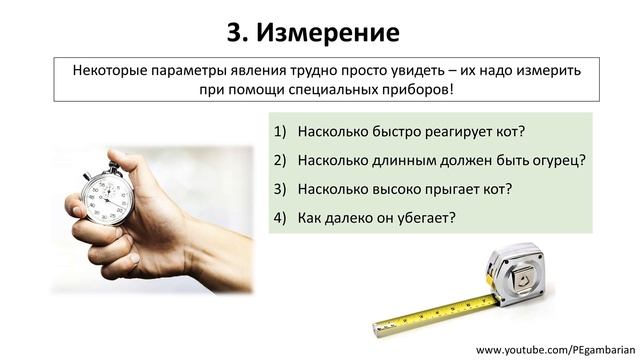 2. Методы изучения природы (5 класс) - введение в Биологию смотреть онлайн
