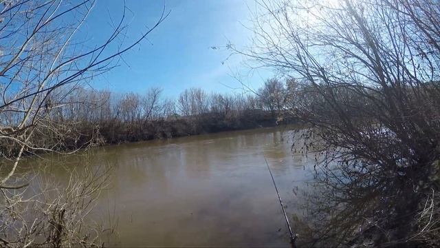 ПОЙМАЛ на ПОПЛАВОК МУТАНТА рыбалка на поплавок ПЕСКАРЬ ПЛОТВА смотреть онлайн