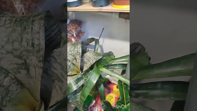 26 ноября 2023 г. смотреть онлайн