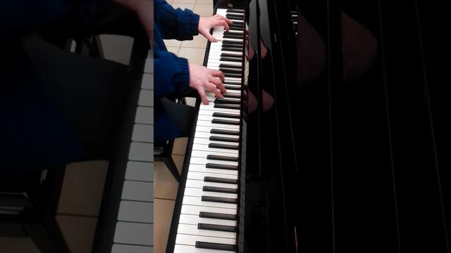 Berdux Piano Demonstration