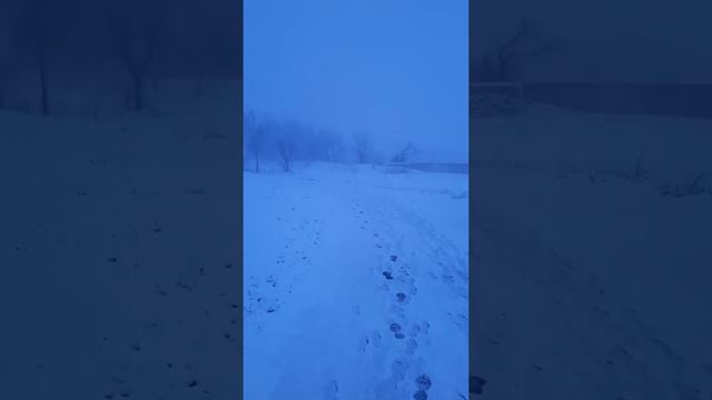 утро, след, туман... смотреть онлайн