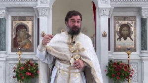 Протоиерей Андрей Ткачёв - О пище (2021.08.24)