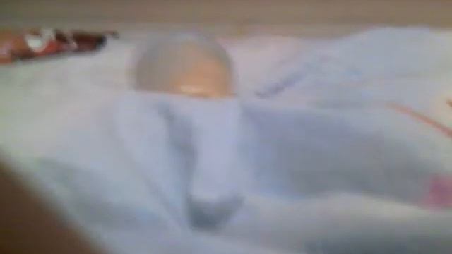 ЖИВЫЕ ОРЕХИ! смотреть онлайн