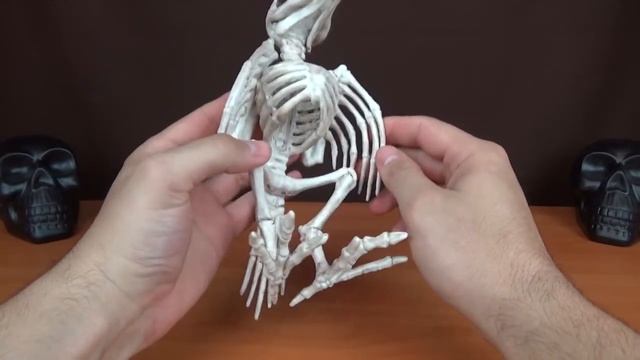 Crazy Bonez: скелет птицы смотреть онлайн
