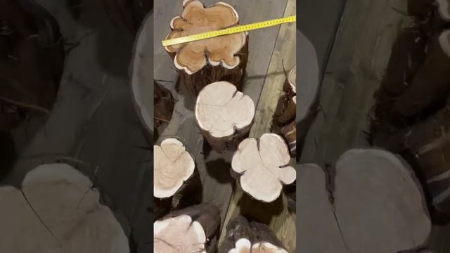 Стволы ароматного сибирского можжевельника 3-32 см смотреть онлайн