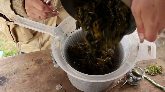 Окрашивание ткани натуральными красителями: одуванчики / Natural Dyes: Dandelions смотреть онлайн