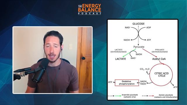 Ep. 110: The True Cause of Insulin Resistance and Diabetes from the Bioenergetic View смотреть онлайн