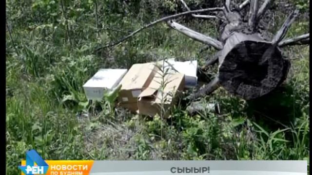 Воры на мотоциклах похитили 210 килограммов сыра из вагона на станции "Широково" смотреть онлайн