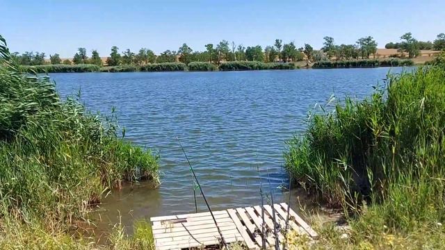 Новотроицкий ставок 2020 (весна-лето) смотреть онлайн