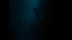 Saltburn’s Graveyard & Bathtub Scenes Explained