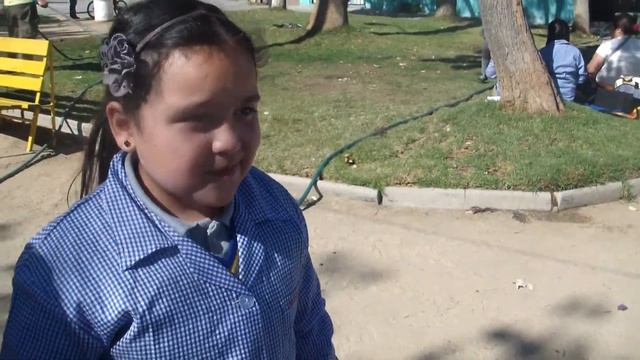 Paseo 3° básico Colegio "Juan de Saavedra" смотреть онлайн