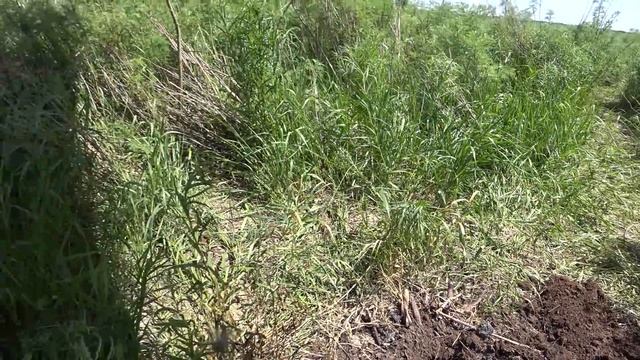 Рыбалка на Судака..Рабочая снасть смотреть онлайн