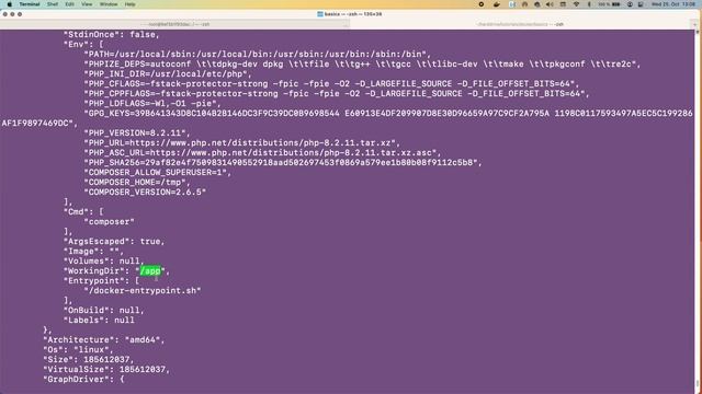 Docker Basics - Lesson 5 - Executing Code смотреть онлайн