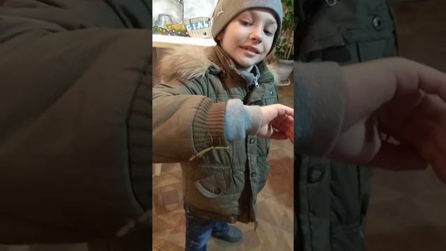 Жук палочник смотреть онлайн