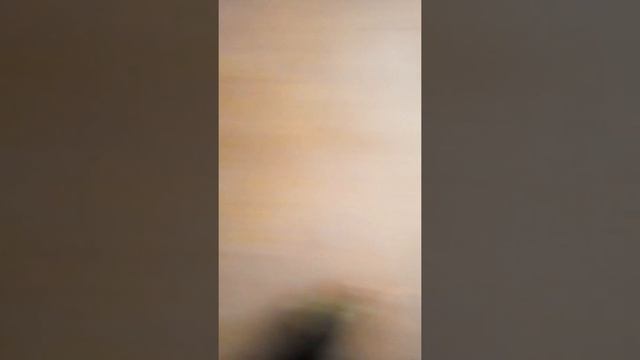 Обзор Джейсона вурхиза Лего смотреть онлайн