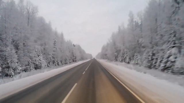 🚚💃🎺То-то - Баяноммай (Спой мне за Lifee)  Пустая дороша. Мороз 39°🥶 Романтика