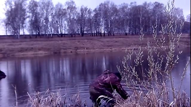 Ловля раков раколовками. смотреть онлайн