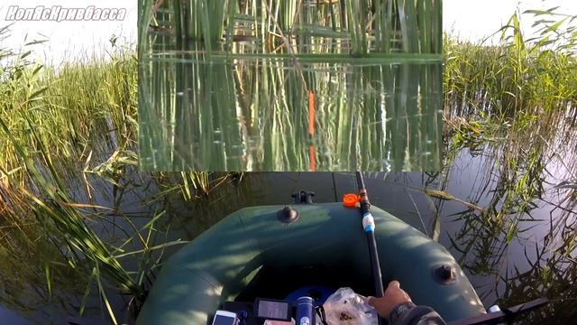 Хороший карась на поплавок в камышах 2 смотреть онлайн