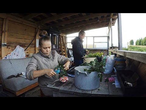 Про успехи нашего безнадёжного дела смотреть онлайн
