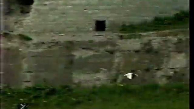 Псков. История, архитектура, искусство. Золотая карта России. смотреть онлайн