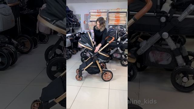 Обзор коляски трансформер Luxmom V9 2 в 1