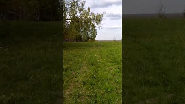 Майская эстетика смотреть онлайн