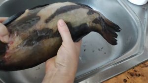 надо ли чистить рыбу Линь ? Видео - ответ на комментарий .....