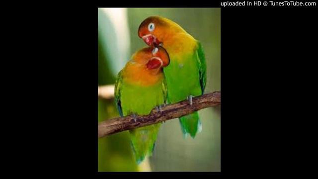 You Made Me Love You, James C. Lebens Trombone Quartet смотреть онлайн