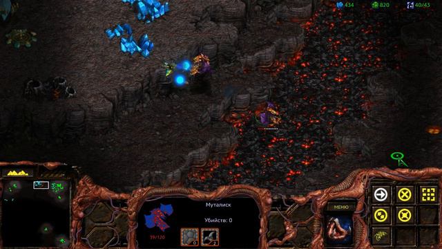 Прохождение StarCraft - Remastered Edition - Часть 20 смотреть онлайн