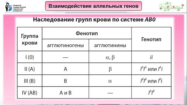 Лекция 10.Генотип как целостная система взаимодействующих генов. смотреть онлайн