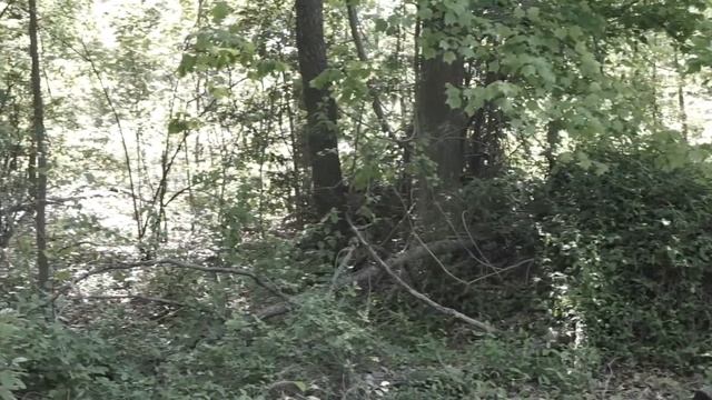 "HOLLOW TIMES" [SciFi, Apocalyptic, Short Film] (Sony WX350 mp4 video) смотреть онлайн
