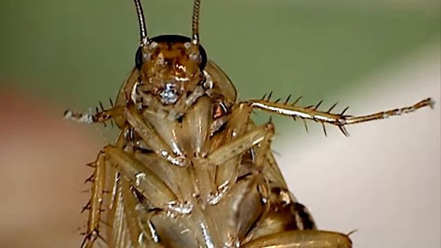 Тест DigiMicro 2.0 смотреть онлайн